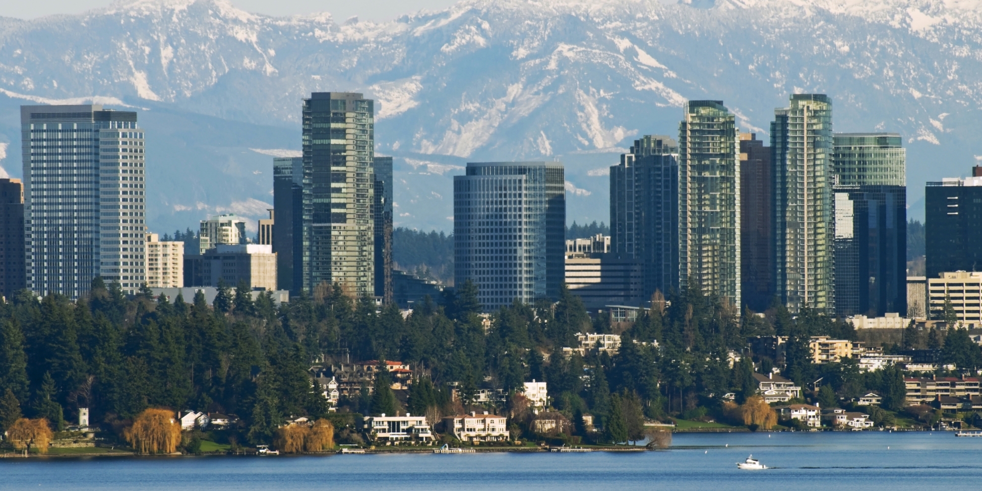 Bellevue Skyline